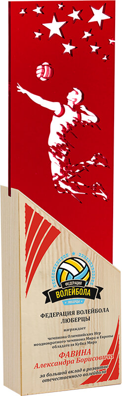 Акриловая награда с УФ печатью волейбол