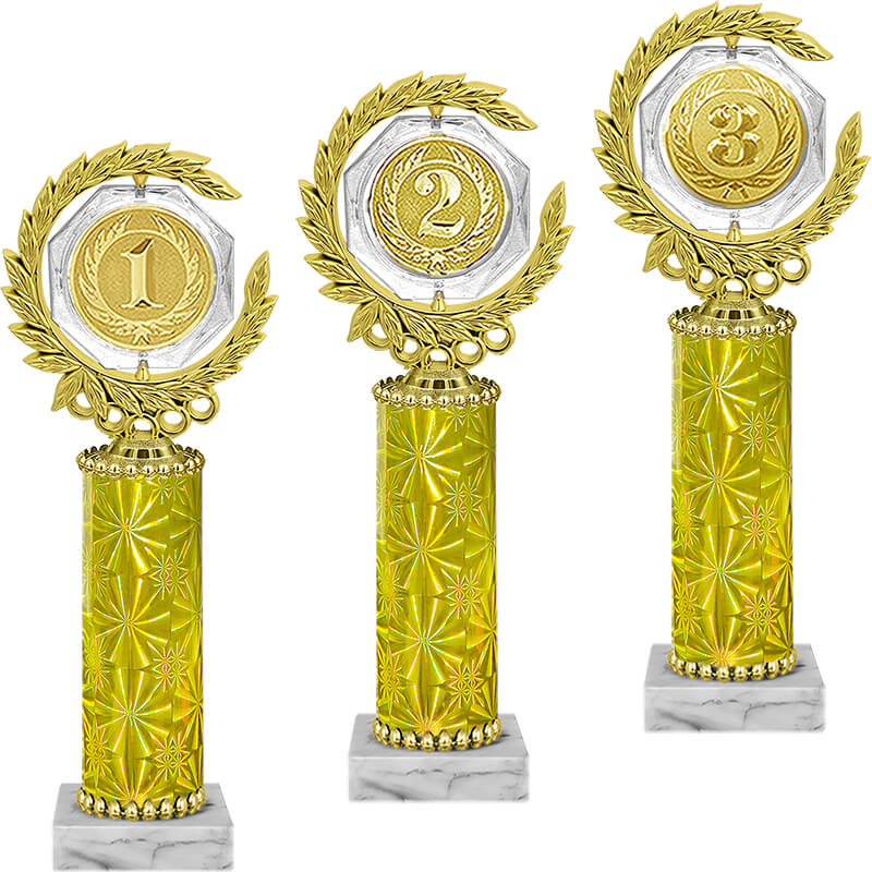 Награда 1 место Награда 1 место