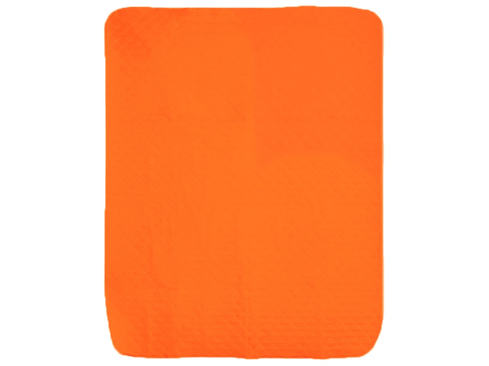 Плед для пикника Ridge, 115 х 140 см, оранжевый Плед для пикника Ridge, 115 х 140 см, оранжевый