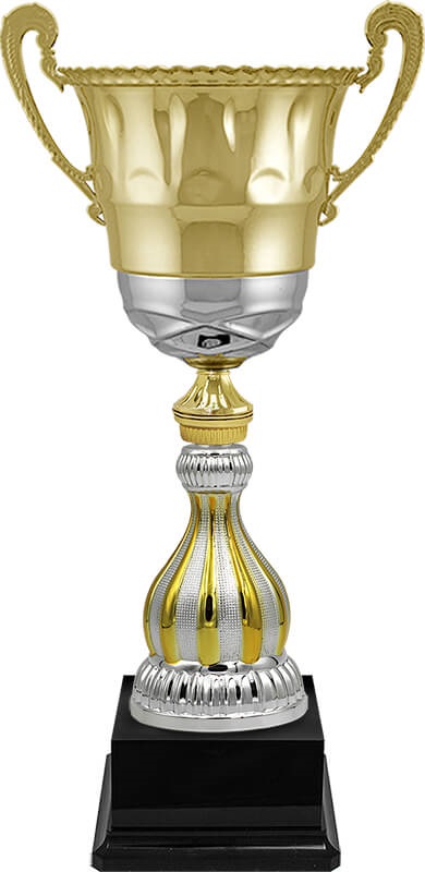 Кубок Гастон