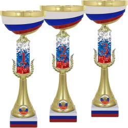 Кубок Мэтр 3 место