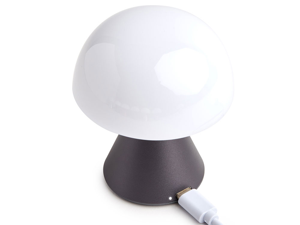 Лампа интерьерная Mina, Gun metal