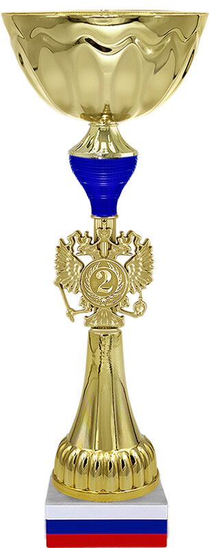 Кубок Бригадир 3 (2 место, синий)