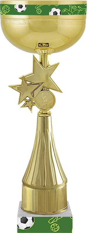 Кубок Сектор (Футбол)