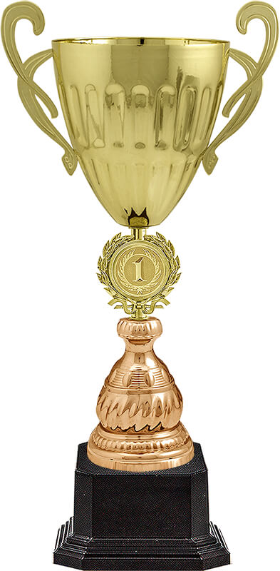 Кубок Дейла 1 место