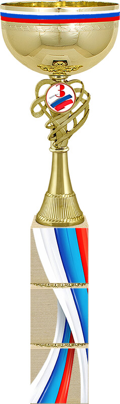 Кубок Премьер 3 место