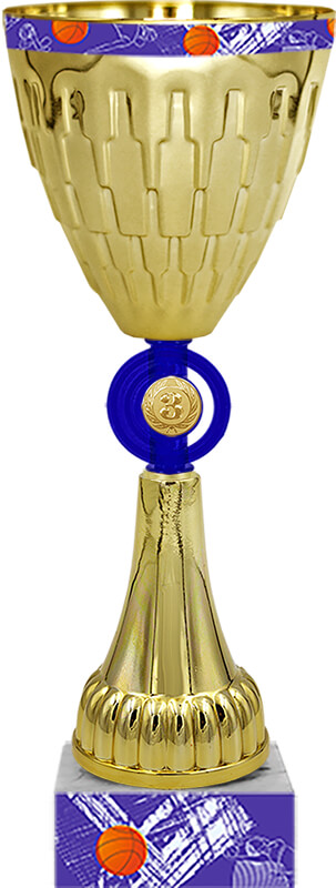 Кубок Дюрант 3 место