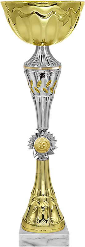 Кубок 3 место