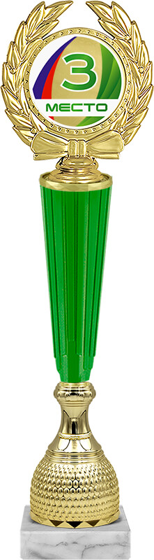 Награда 3 место