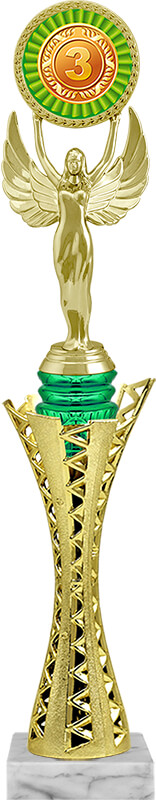 Награда Виктория 3 место