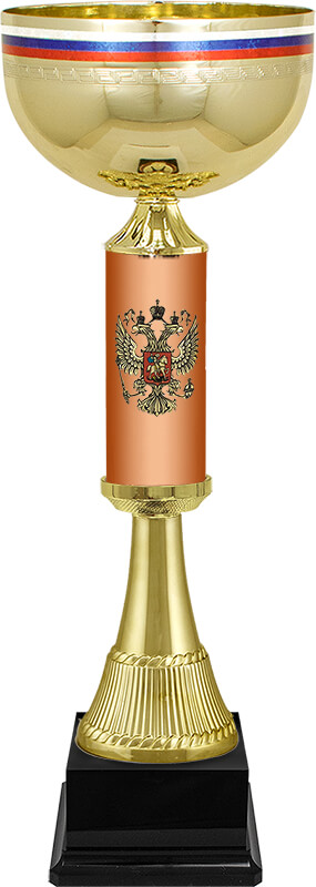 Кубок Артек