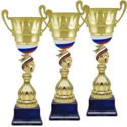 Кубок Сенат 3 место