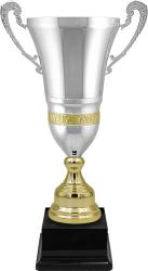 Кубок Вебстер