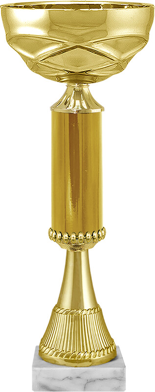 Кубок Айран