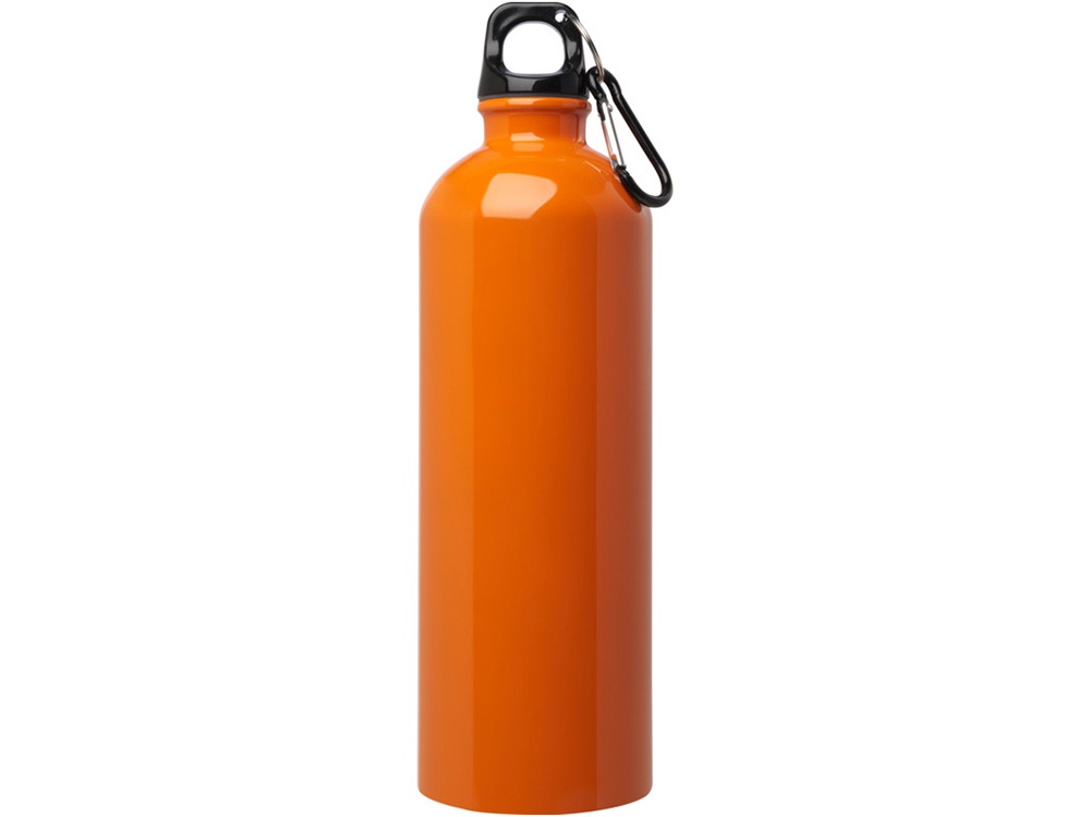Одностенная бутылка для воды с карабином Oregon, изготовленная из нержавеющей стали, сертифицированной по стандарту RCS, объемом 750 мл - Оранжевый
