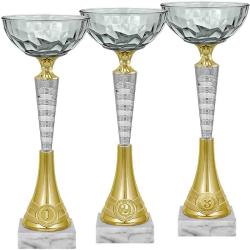 Кубок Лирик 3 место