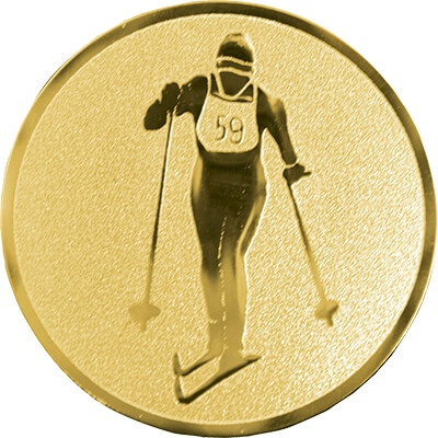 Эмблема лыжный спорт