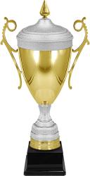 Кубок Ампир