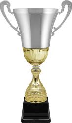 Кубок Рислинг