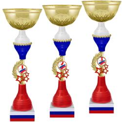 Кубок Нельсон 3 место