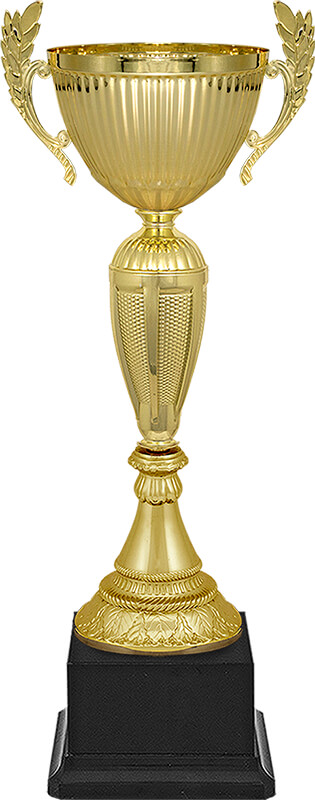 Кубок Рамиль (черный)
