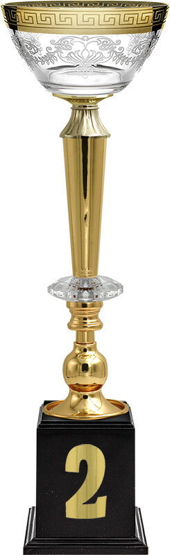 Кубок Эллея 2 место