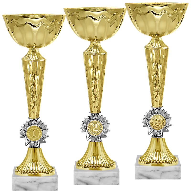 Кубок Гриф 2 место