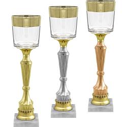 Кубок Педант (под бронзу)