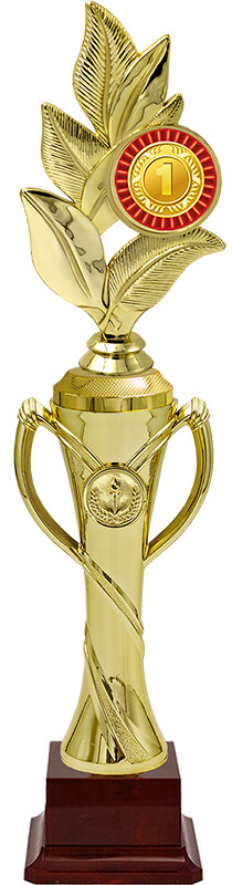 Награда 1 место