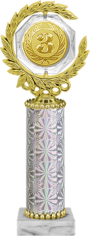 Награда 3 место