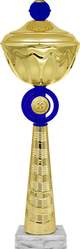 Кубок Василь 3 местго