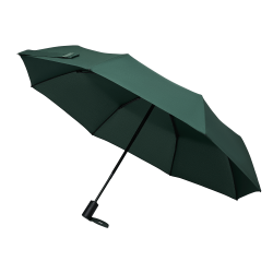 Зонт складной Passat, зеленый