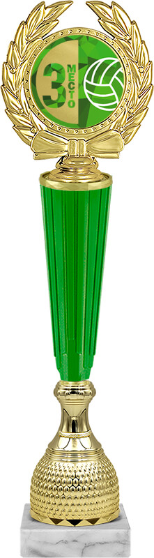 Награда волейбол 3 место