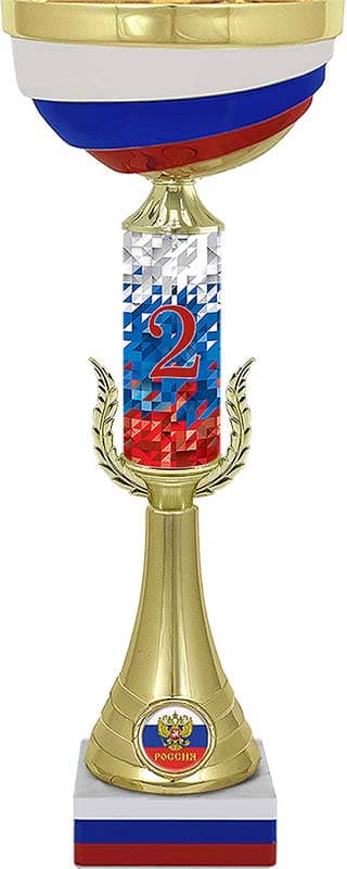 Кубок Мэтр 2 место