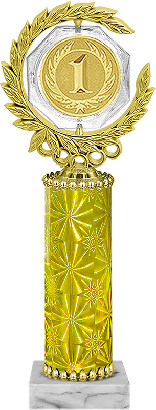 Награда 1 место Награда 1 место