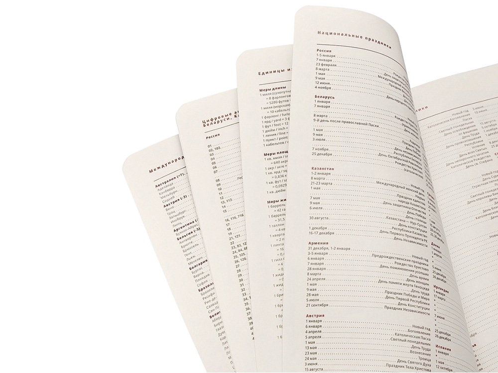 Ежедневник недатированный А5 Parliament, бордовый