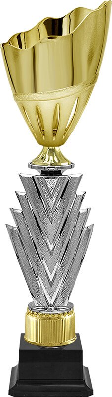 Кубок Сильва