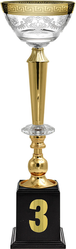 Кубок Эллея 3 место