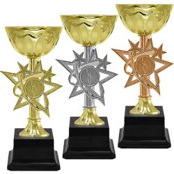 Кубок Алета (под бронзу)