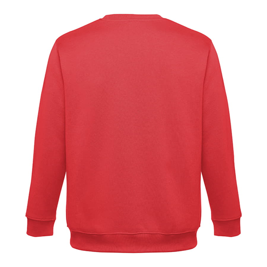 Толстовка мужская DELTA 300