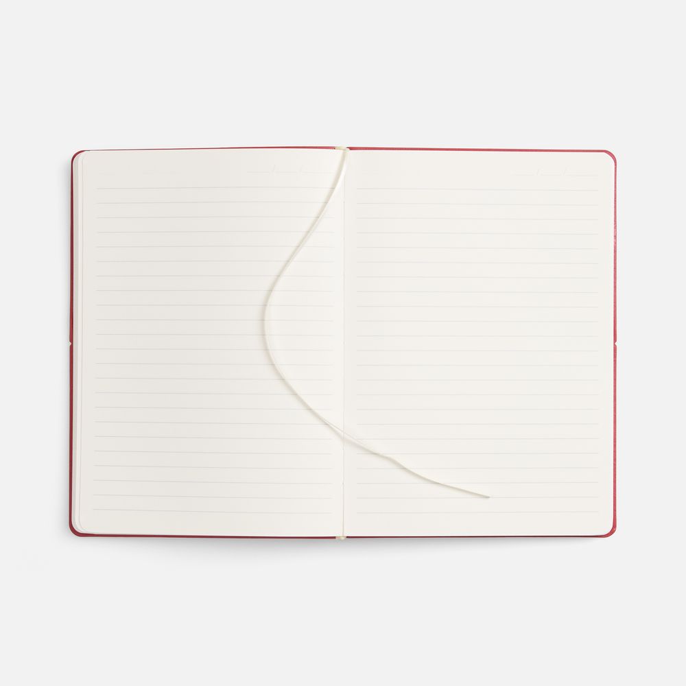 Ежедневник Kuka, недатированный, ver.2, красный