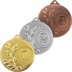 Комплект медалей Вилга 1,2,3 место