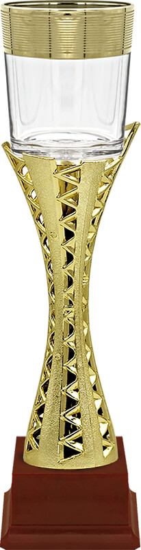 Кубок Амина (бордо)