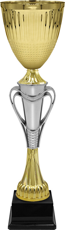 Кубок Тотти