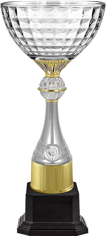 Кубок Ньютон