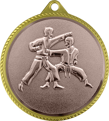 Медаль карате