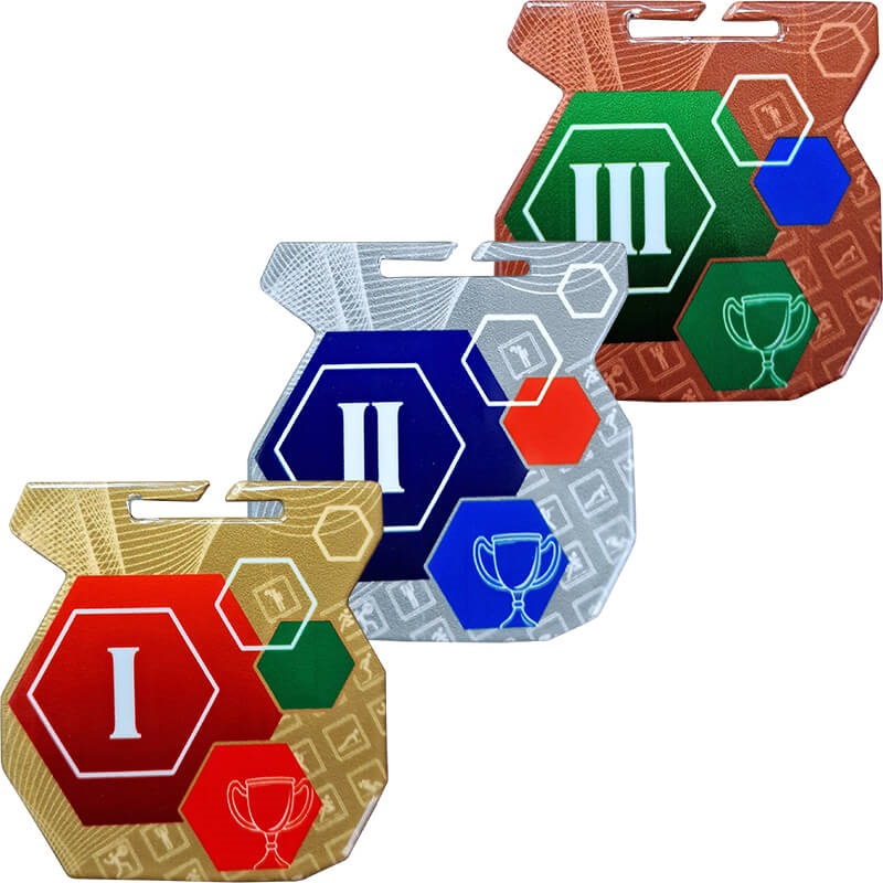 Медаль Архимед II место