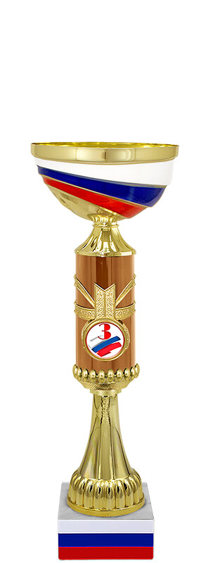 Кубок Влада 3 место