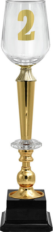 Кубок Агния 2 место