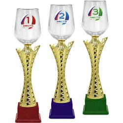 Кубок Акцент 3 место